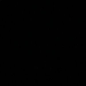 Meet your Posher, Bruce